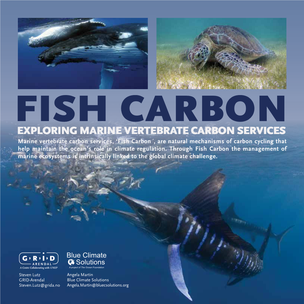 Exploring Marine Vertebrate Carbon Services
