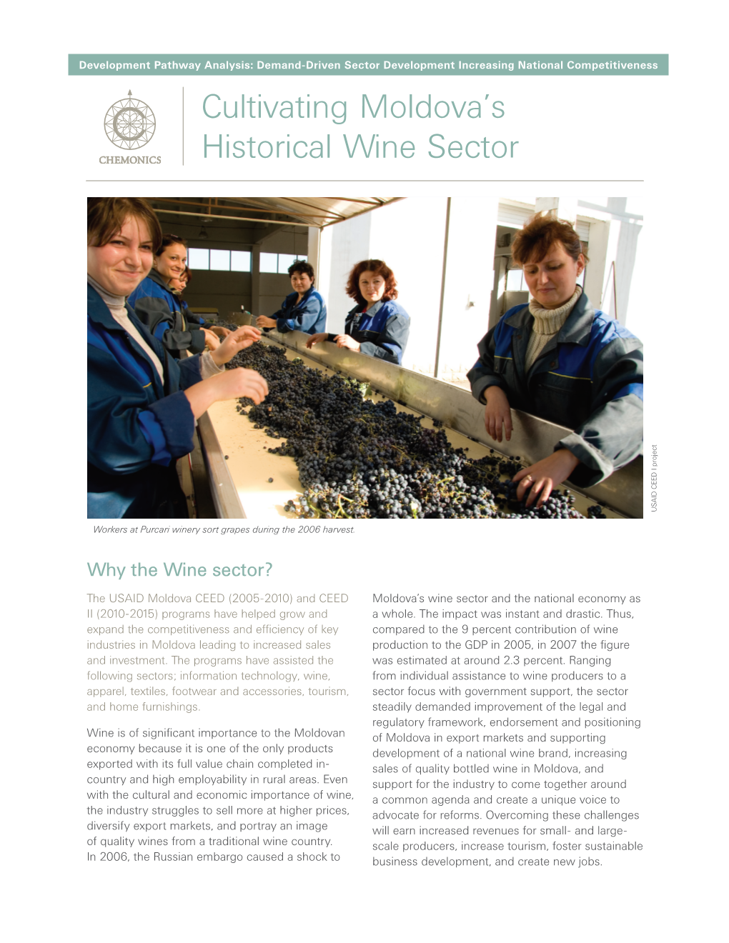 Cultivating Moldova's Historical Wine Sector