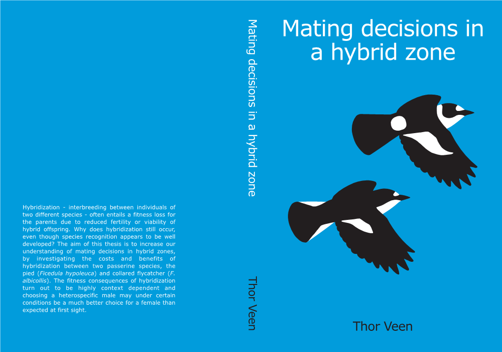 Mating Decisions in a Hybrid Zone