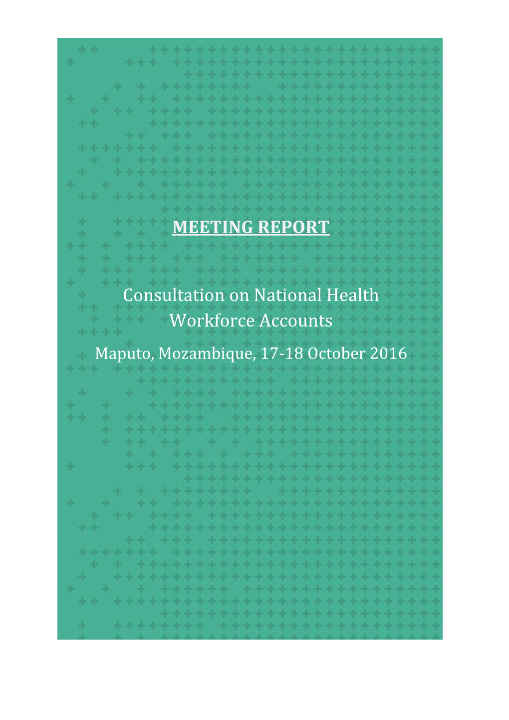 MEETING REPORT Consultation on National Health Workforce Accounts