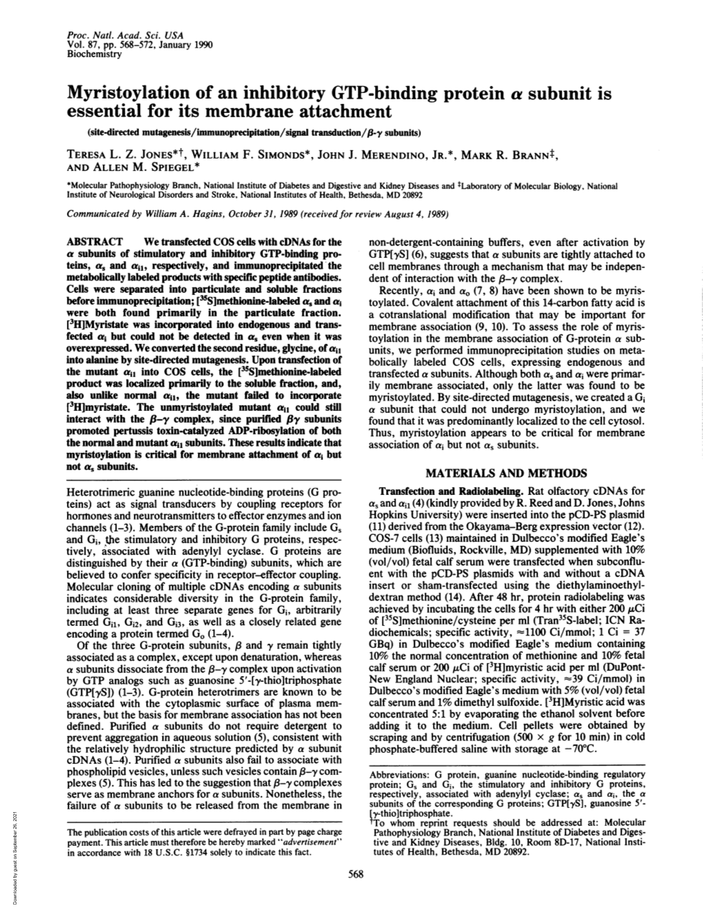 Myristoylation of an Inhibitory GTP-Binding Protein a Subunit Is