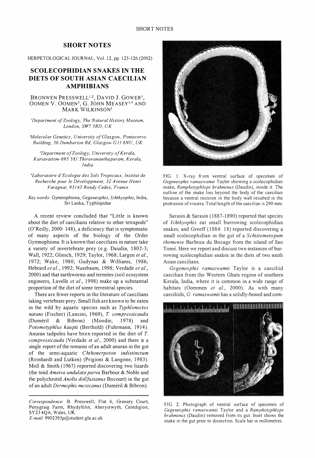 Little Is Known About the Diet of Caecilians Relative to Other Tetrapods