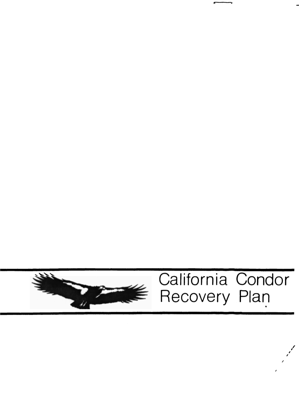 California Condor Recovery Plan CALIFORNIA CONDOR