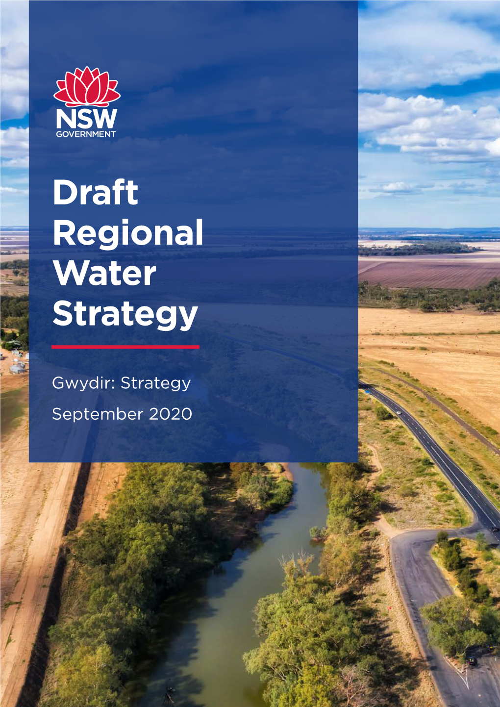 Draft Regional Water Strategy: Gwydir