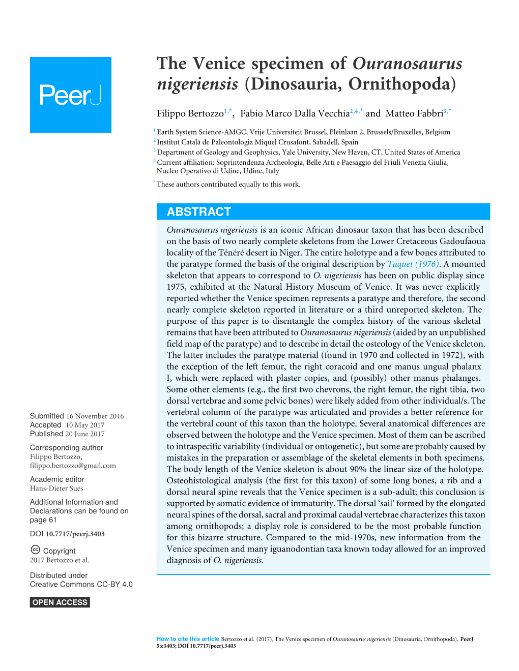 The Venice Specimen of Ouranosaurus Nigeriensis (Dinosauria, Ornithopoda)