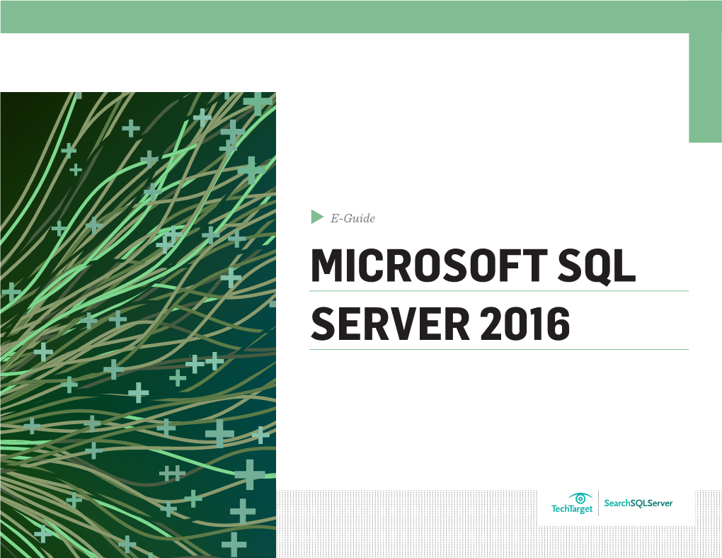 Microsoft Sql Server 2016