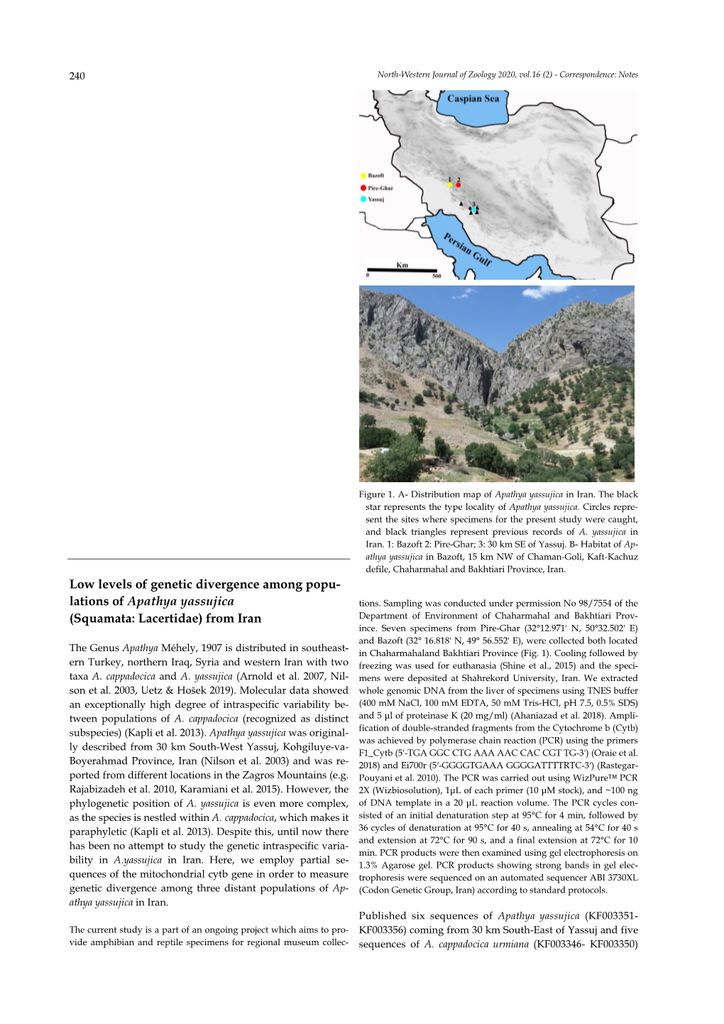 Low Levels of Genetic Divergence Among Populations of Apathya