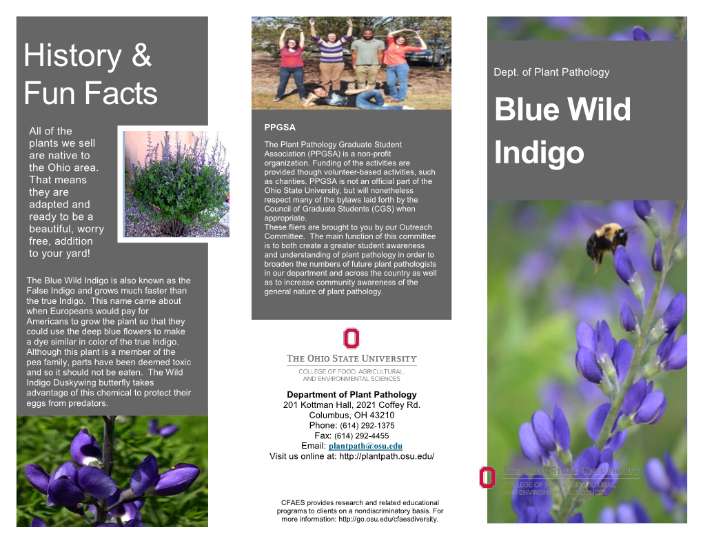 Blue Wild Indigo Is Also Known As the As to Increase Community Awareness of the False Indigo and Grows Much Faster Than General Nature of Plant Pathology