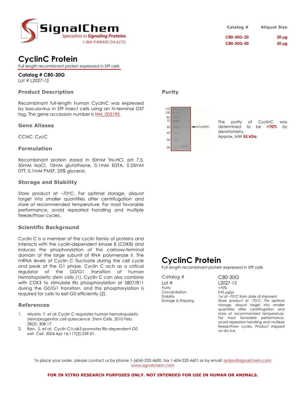 Cyclinc Protein Full Length Recombinant Protein Expressed in Sf9 Cells