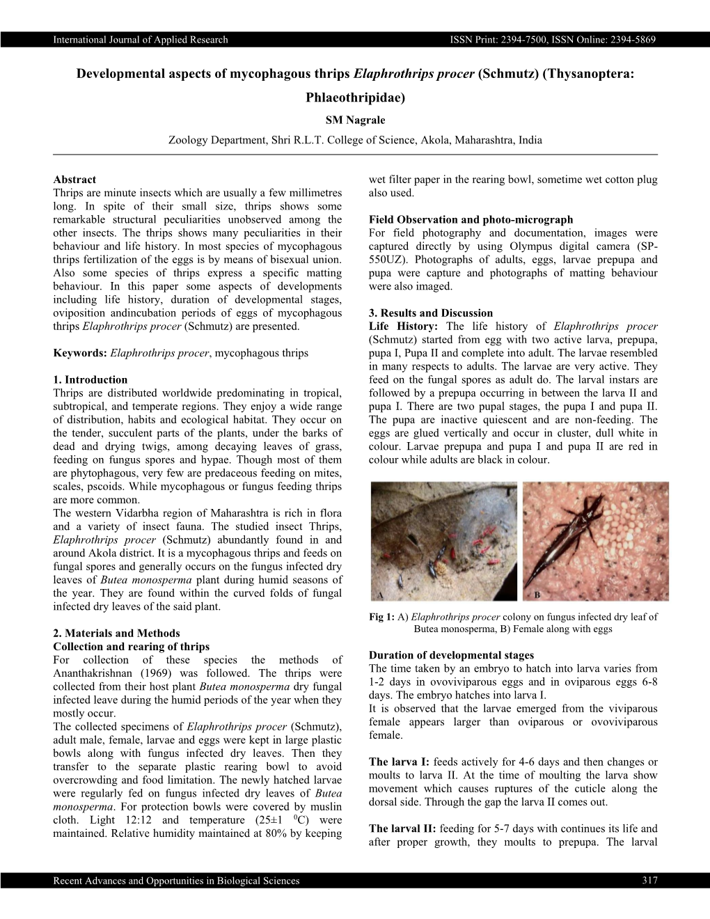 Developmental Aspects of Mycophagous Thrips Elaphrothrips Procer (Schmutz) (Thysanoptera: Phlaeothripidae) SM Nagrale Zoology Department, Shri R.L.T