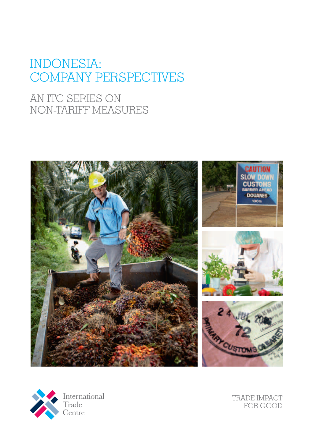 Indonesia: Company Perspectives an Itc Series on Non-Tariff Measures