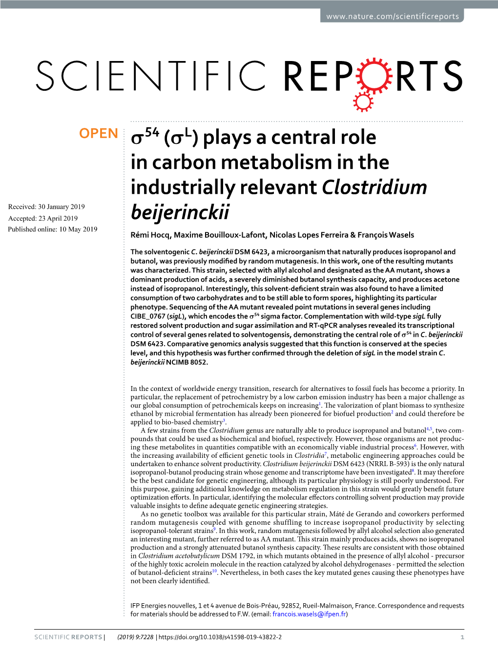 Plays a Central Role in Carbon Metabolism in the Industrially Relevant Clostridium Beijerinckii