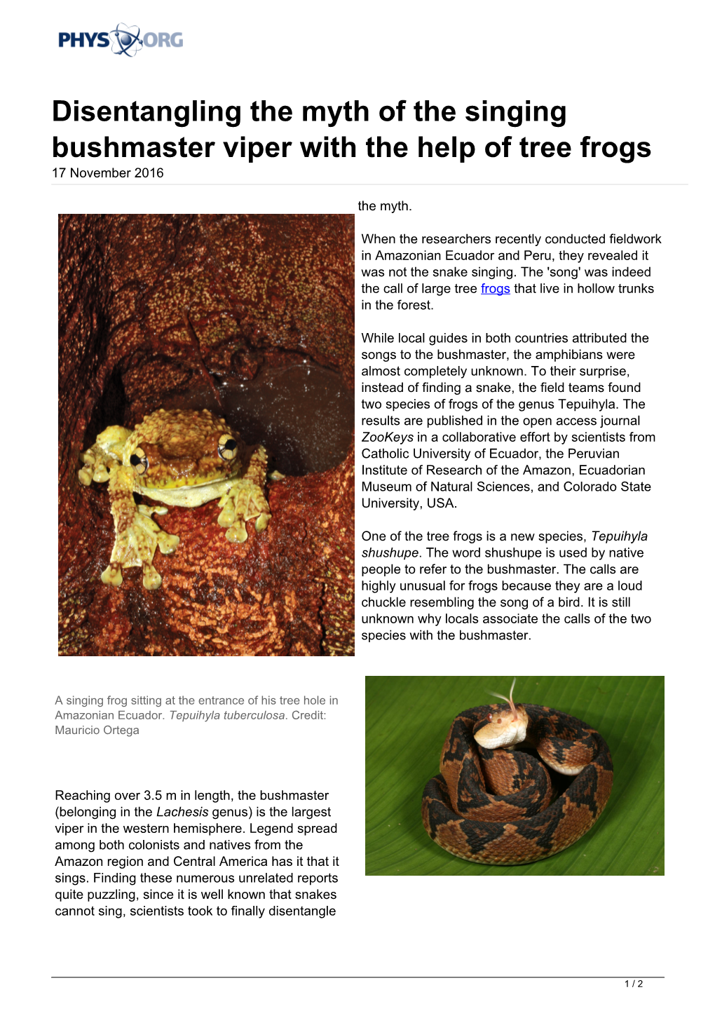 Disentangling the Myth of the Singing Bushmaster Viper with the Help of Tree Frogs 17 November 2016