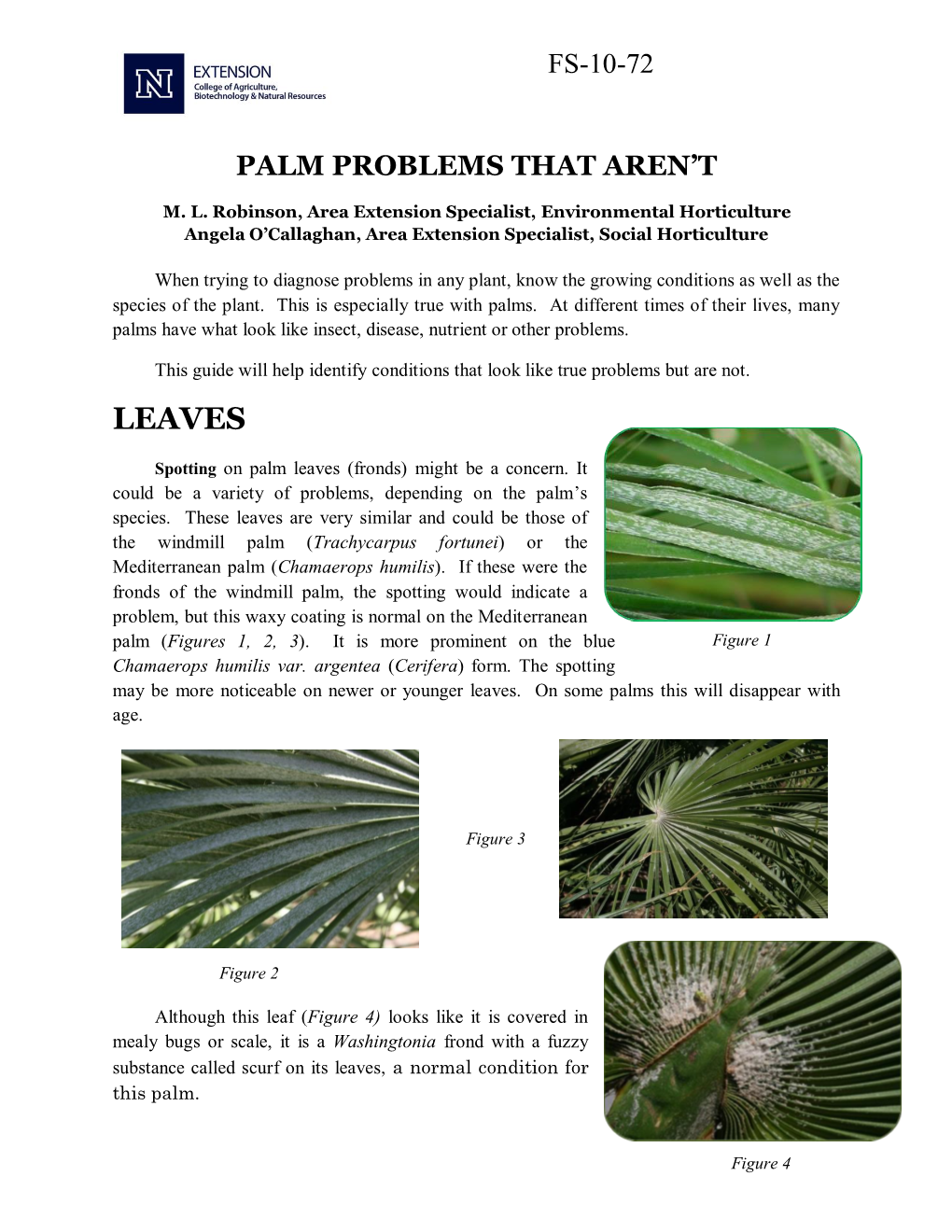 Fs-10-72 Palm Problems That Aren't