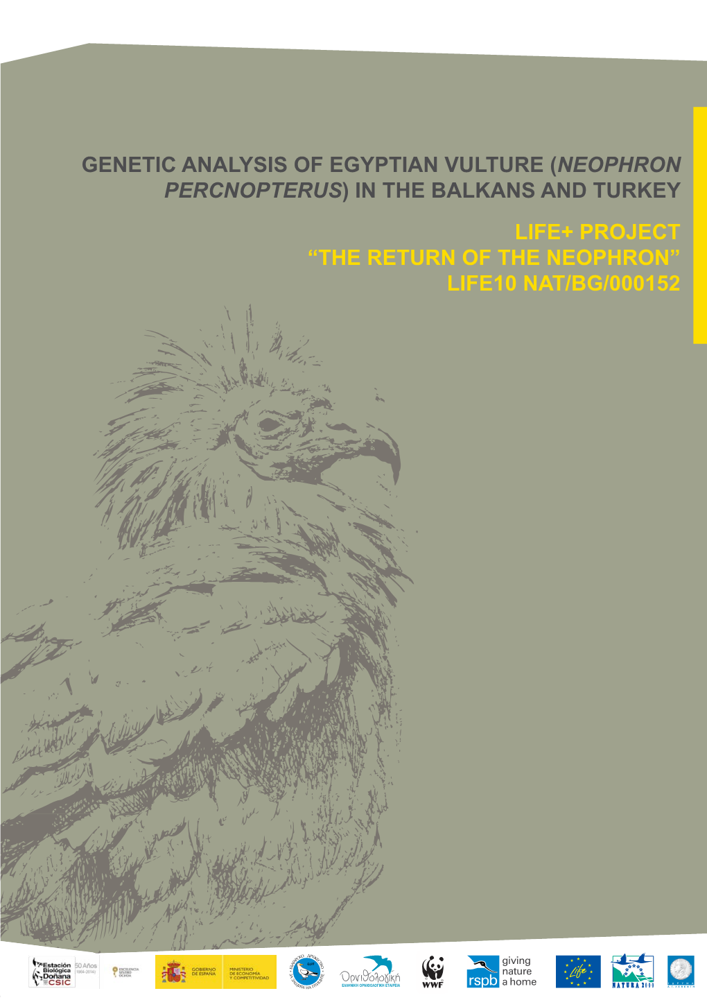 Neophron Percnopterus) in the Balkans and Turkey LIFE+ Project “The Return of the Neophron” LIFE10 NAT/BG/000152