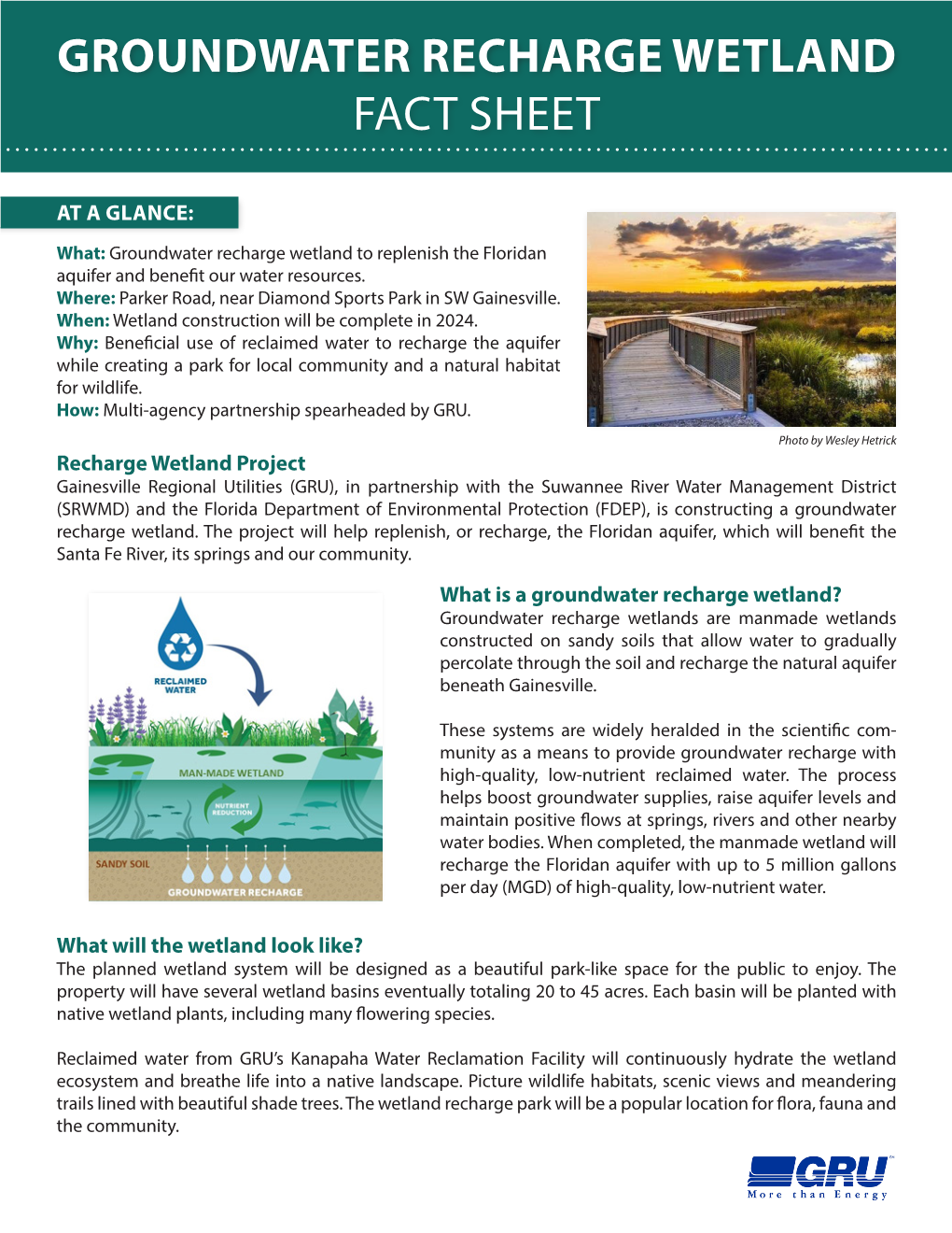 Groundwater Recharge Wetland Fact Sheet