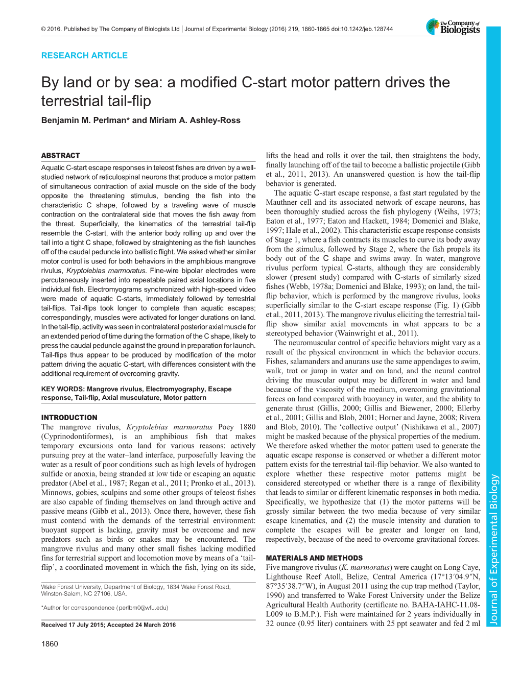 A Modified C-Start Motor Pattern Drives the Terrestrial Tail-Flip Benjamin M