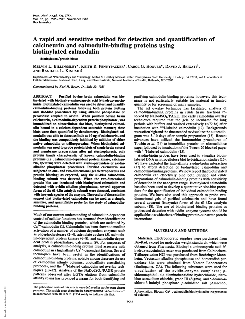 Calcineurin and Calmodulin-Binding Proteins Using Biotinylated Calmodulin (Biotinylation/Protein Blots) MELVIN L