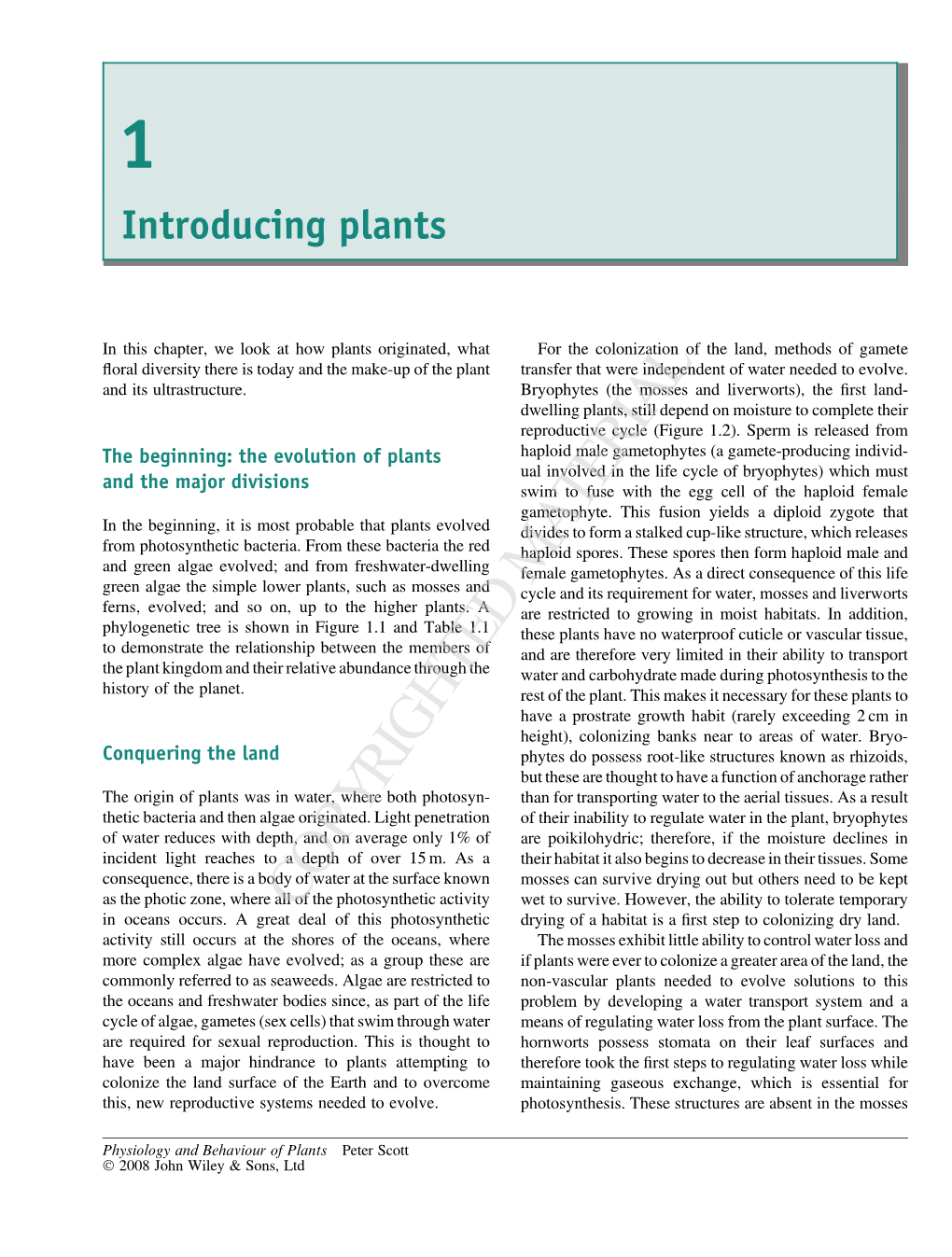 Introducing Plants