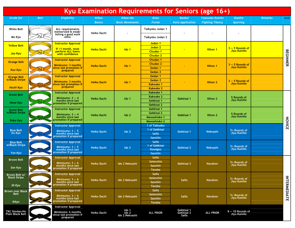 Kyu Examination Requirements for Seniors (Age 16+)