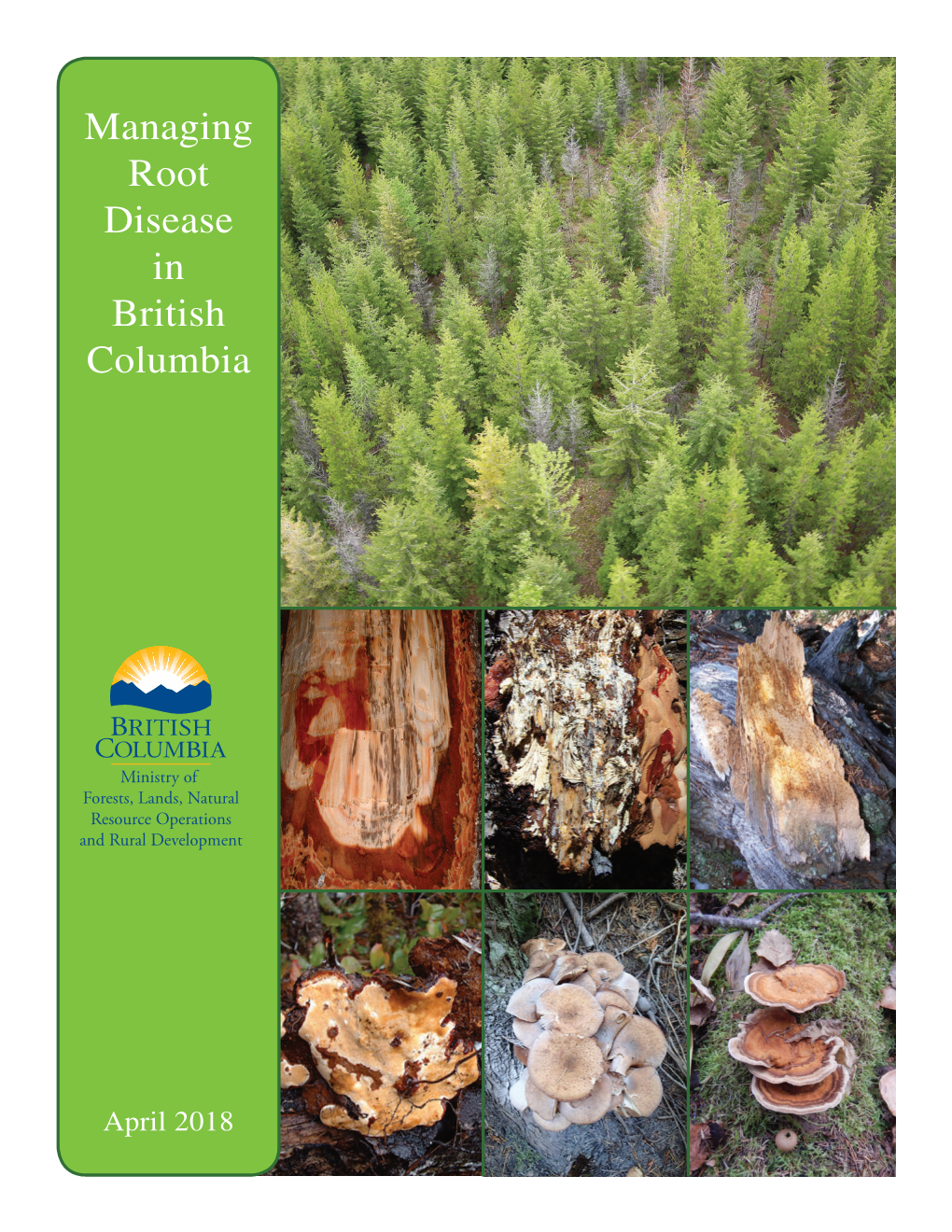 Managing Root Disease in British Columbia