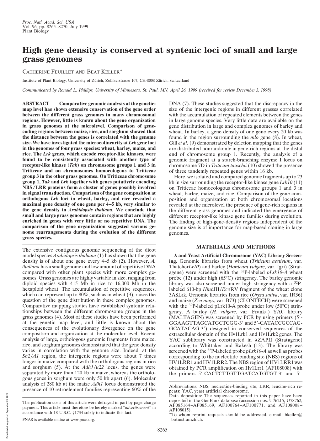 High Gene Density Is Conserved at Syntenic Loci of Small and Large Grass Genomes