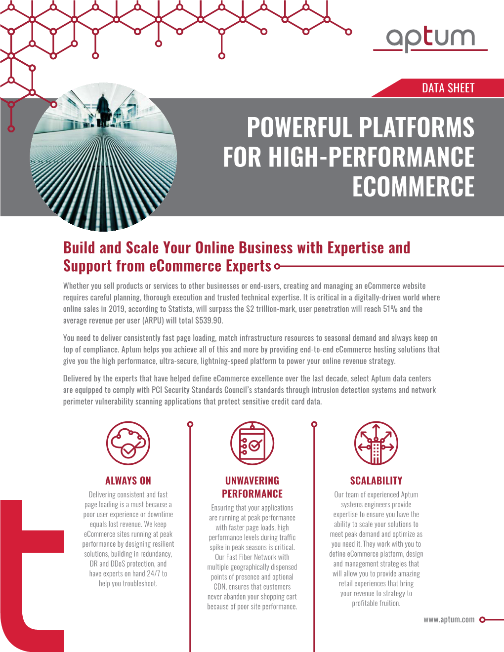 Powerful Platforms for High-Performance Ecommerce