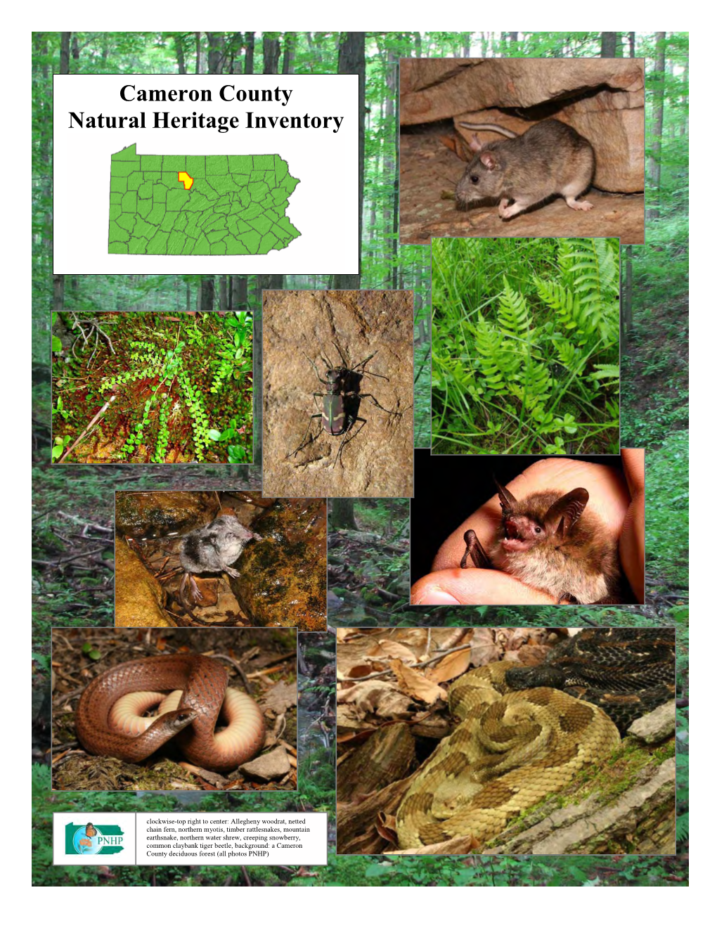 Cameron County Natural Heritage Inventory