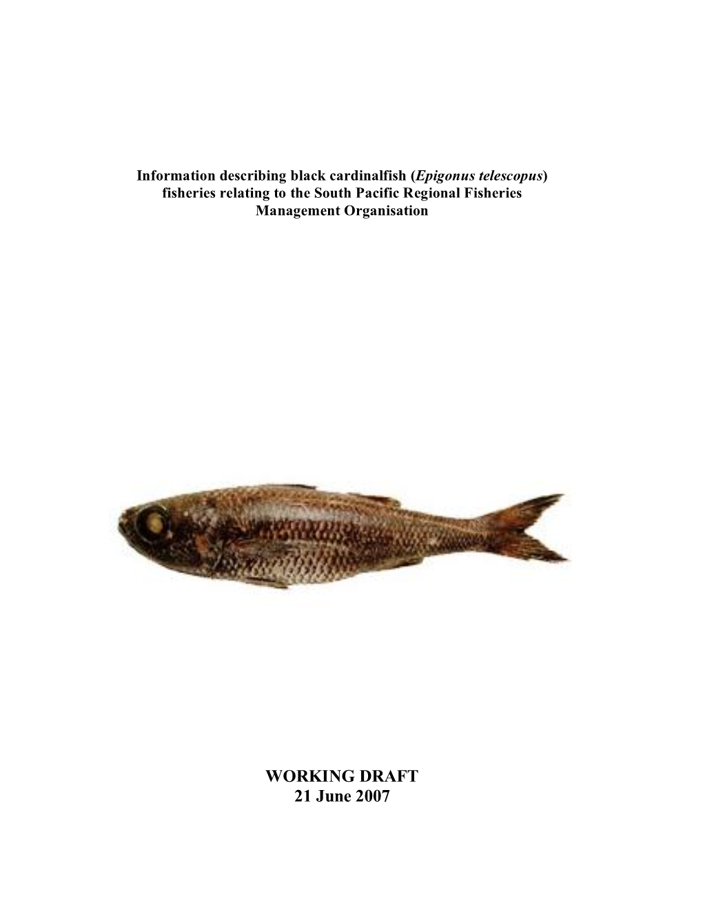 Epigonus Telescopus Species Profile 200607