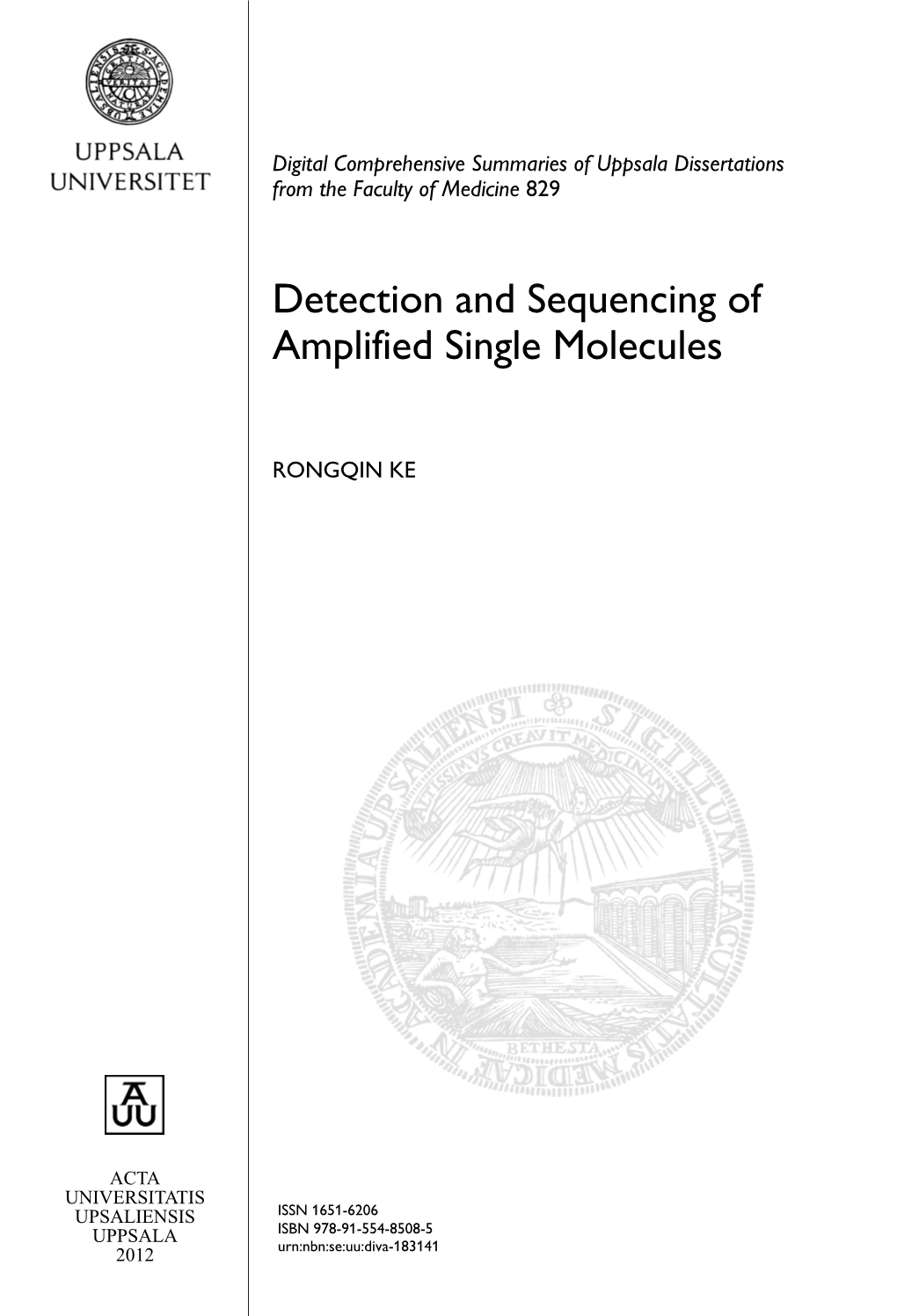 Detection and Sequencing of Amplified Single Molecules