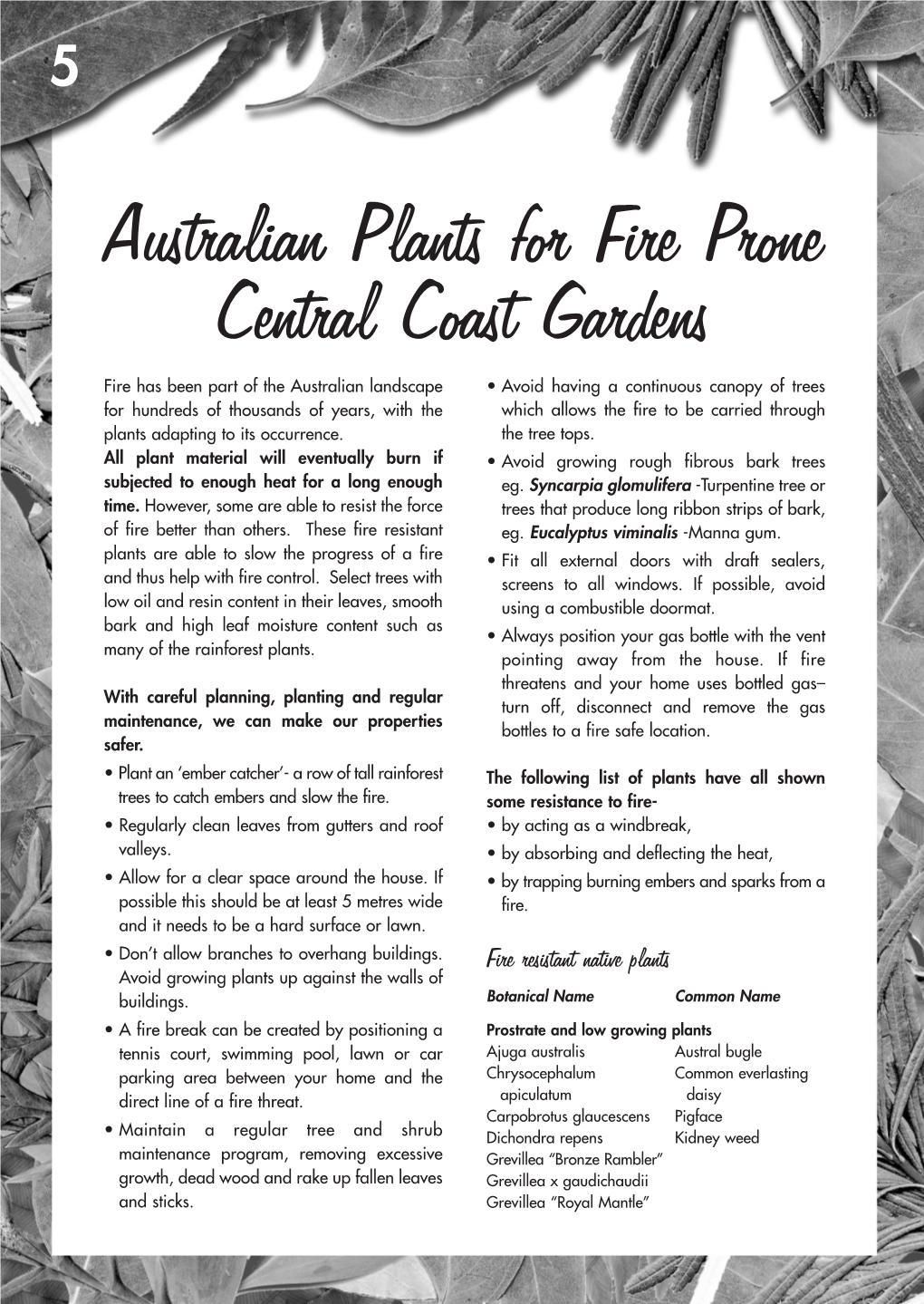 Australian Plants for Fire Prone Central Coast Gardens