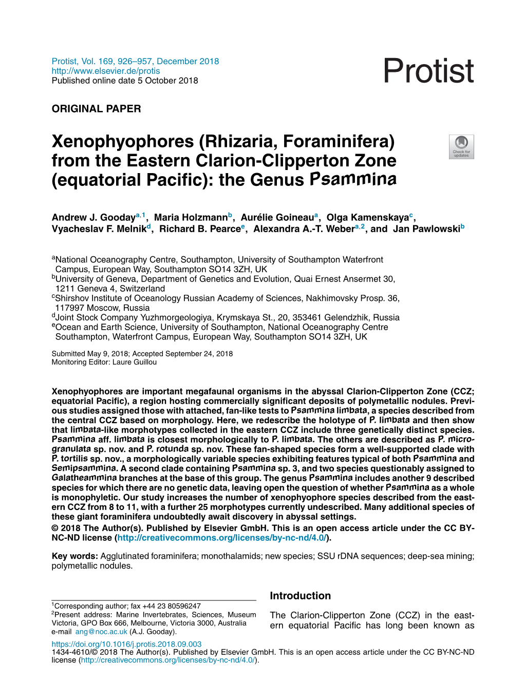 Xenophyophores (Rhizaria, Foraminifera)