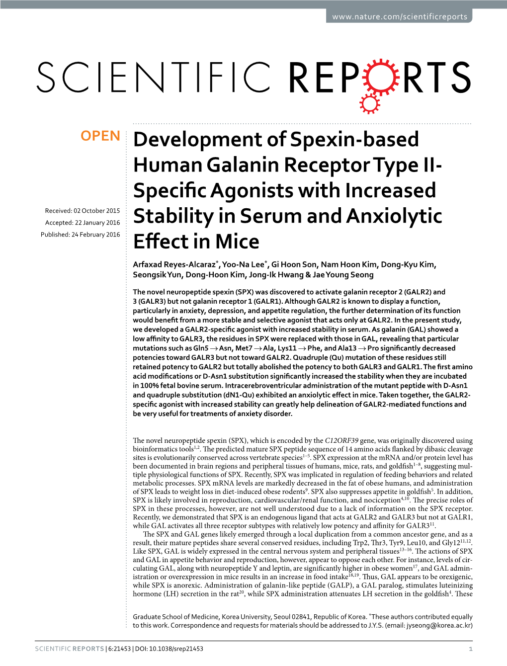 Development of Spexin-Based Human Galanin Receptor Type II-Specific Agonists with Increased Stability in Serum and Anxiolytic Effect in Mice