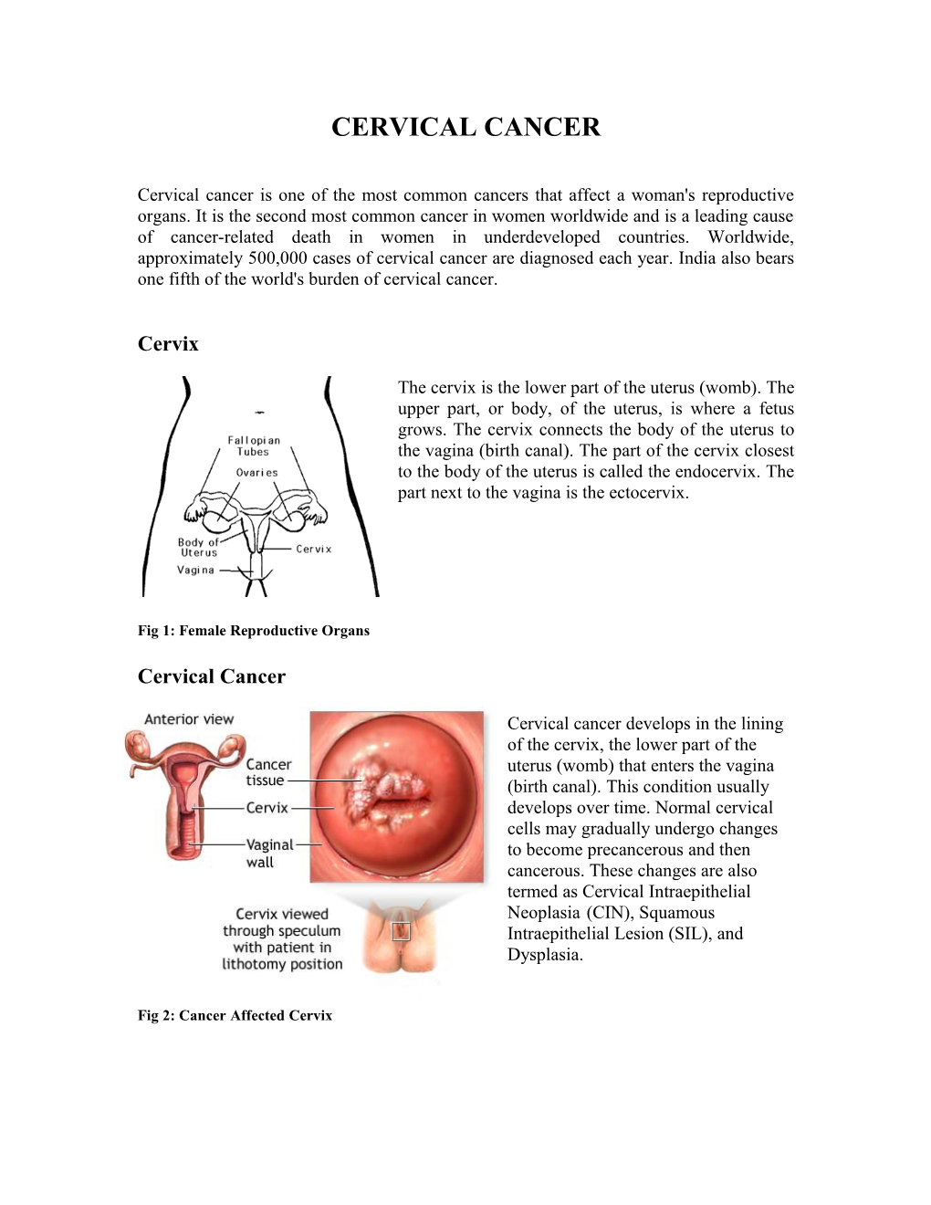 Fig 1: Female Reproductive Organs