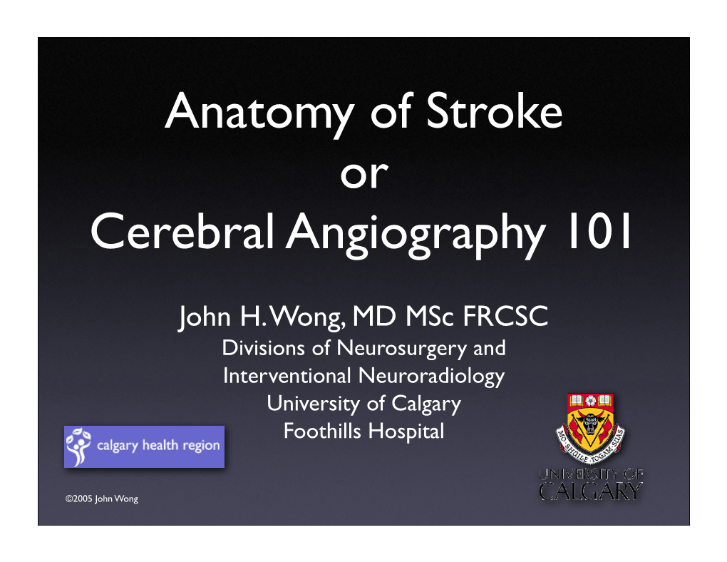 CV5 Wong Angiography 101.Pdf