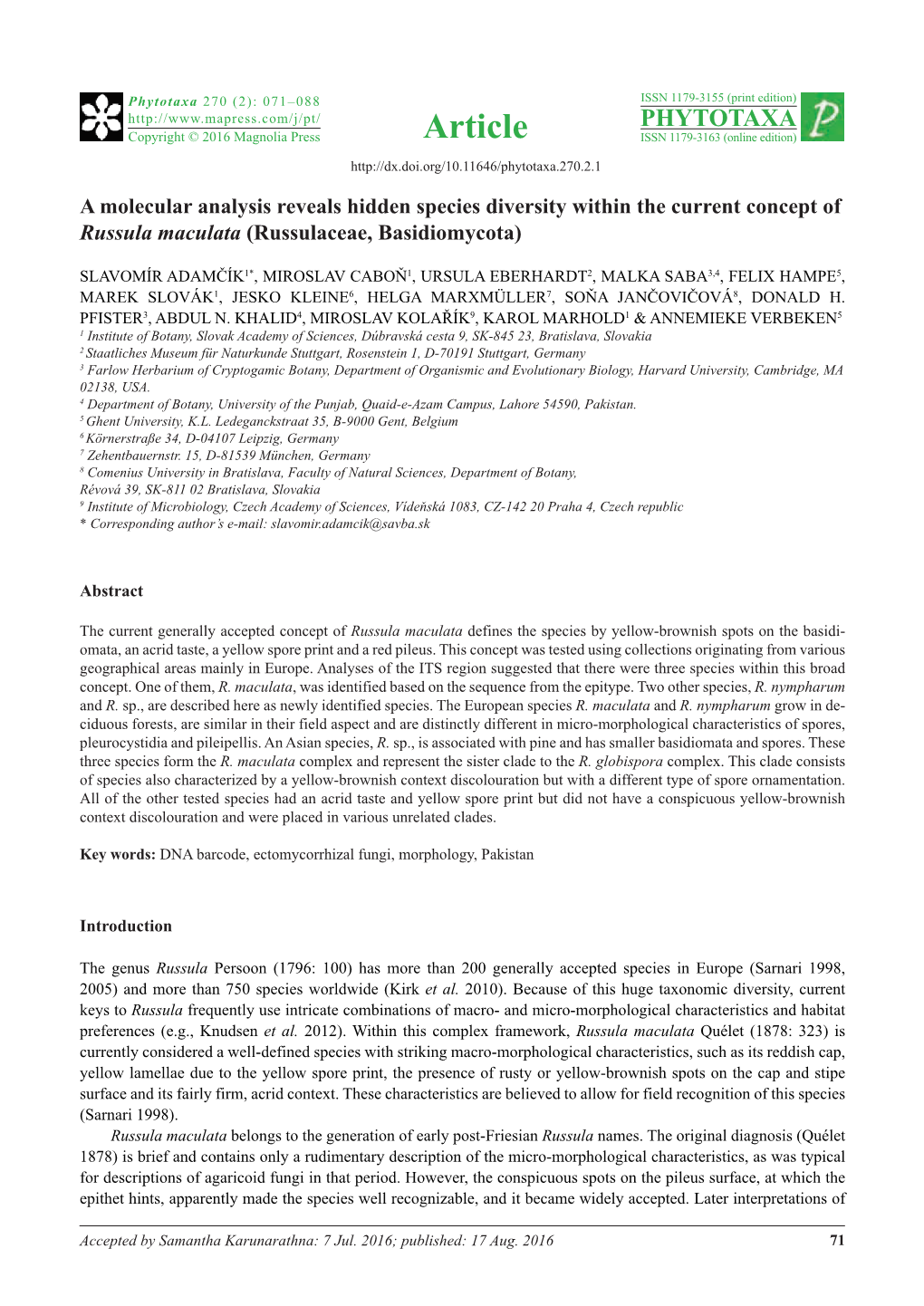 A Molecular Analysis Reveals Hidden Species Diversity Within the Current Concept of Russula Maculata (Russulaceae, Basidiomycota)