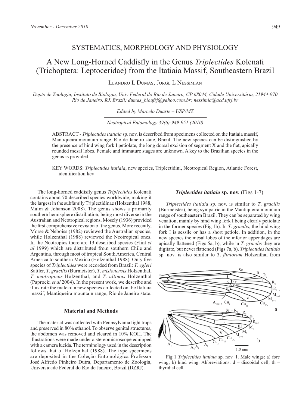 A New Long-Horned Caddisfly in the Genus Triplectides Kolenati