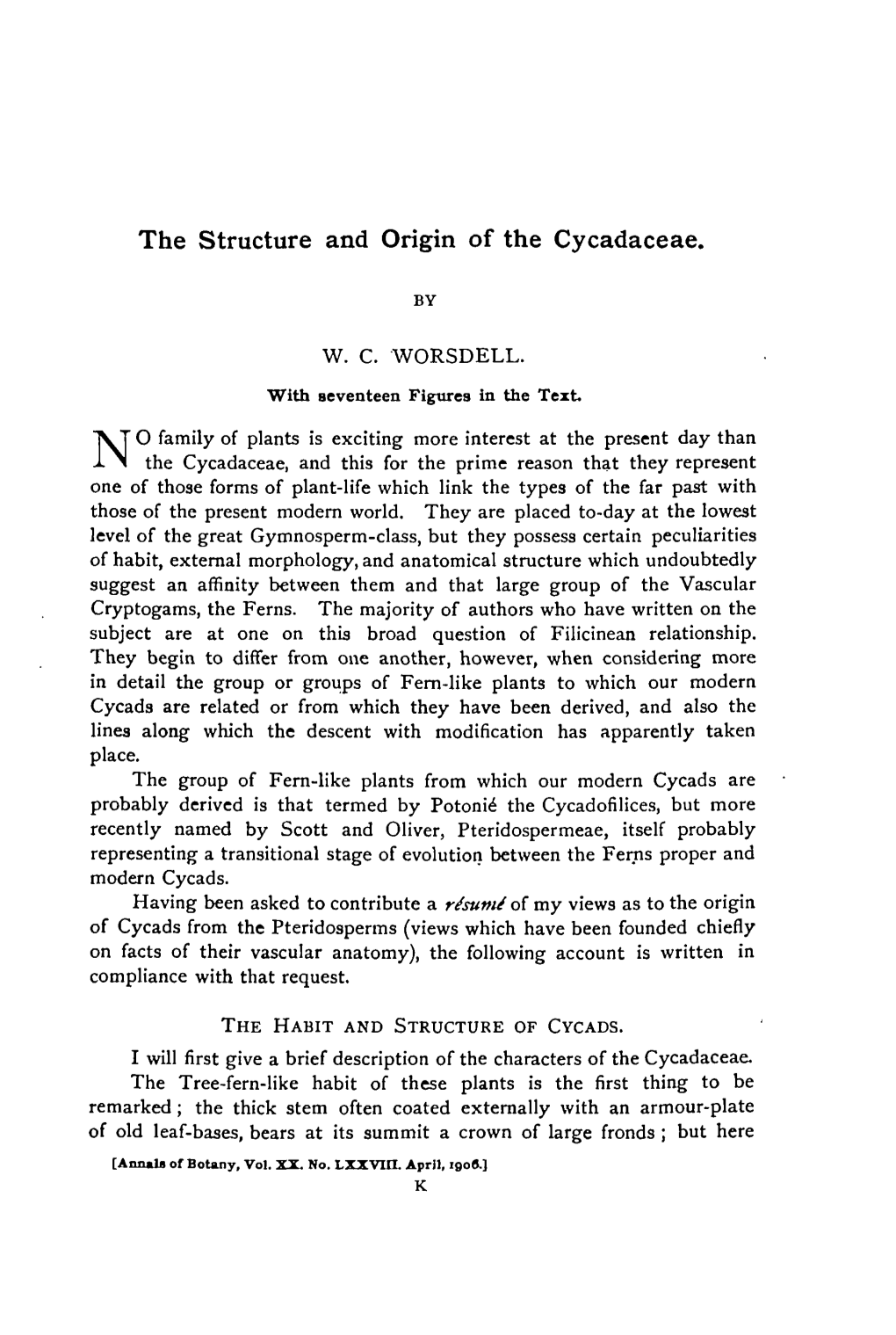 The Structure and Origin of the Cycadaceae