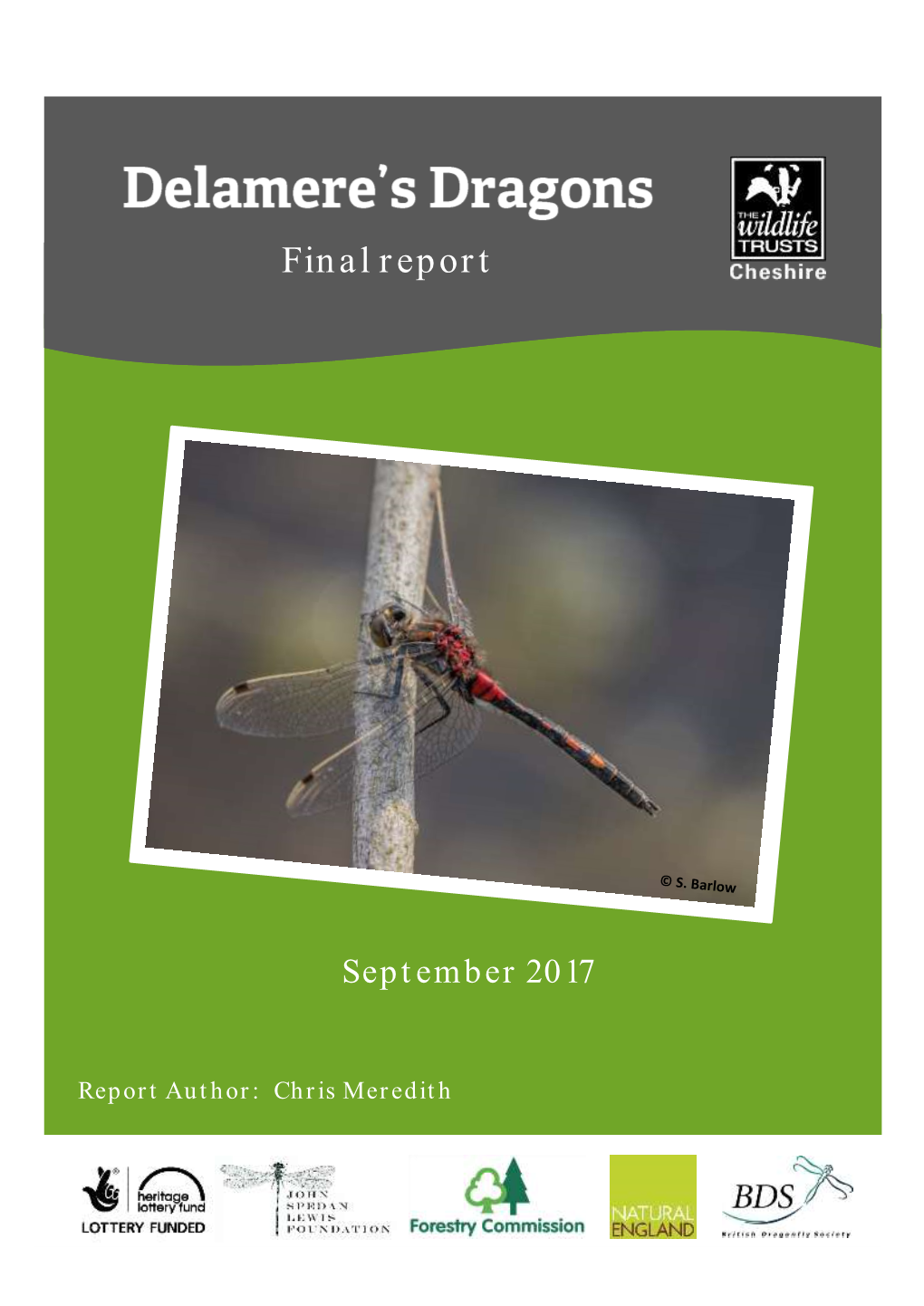 Delamere Dragons Final Report September 2017.Pdf