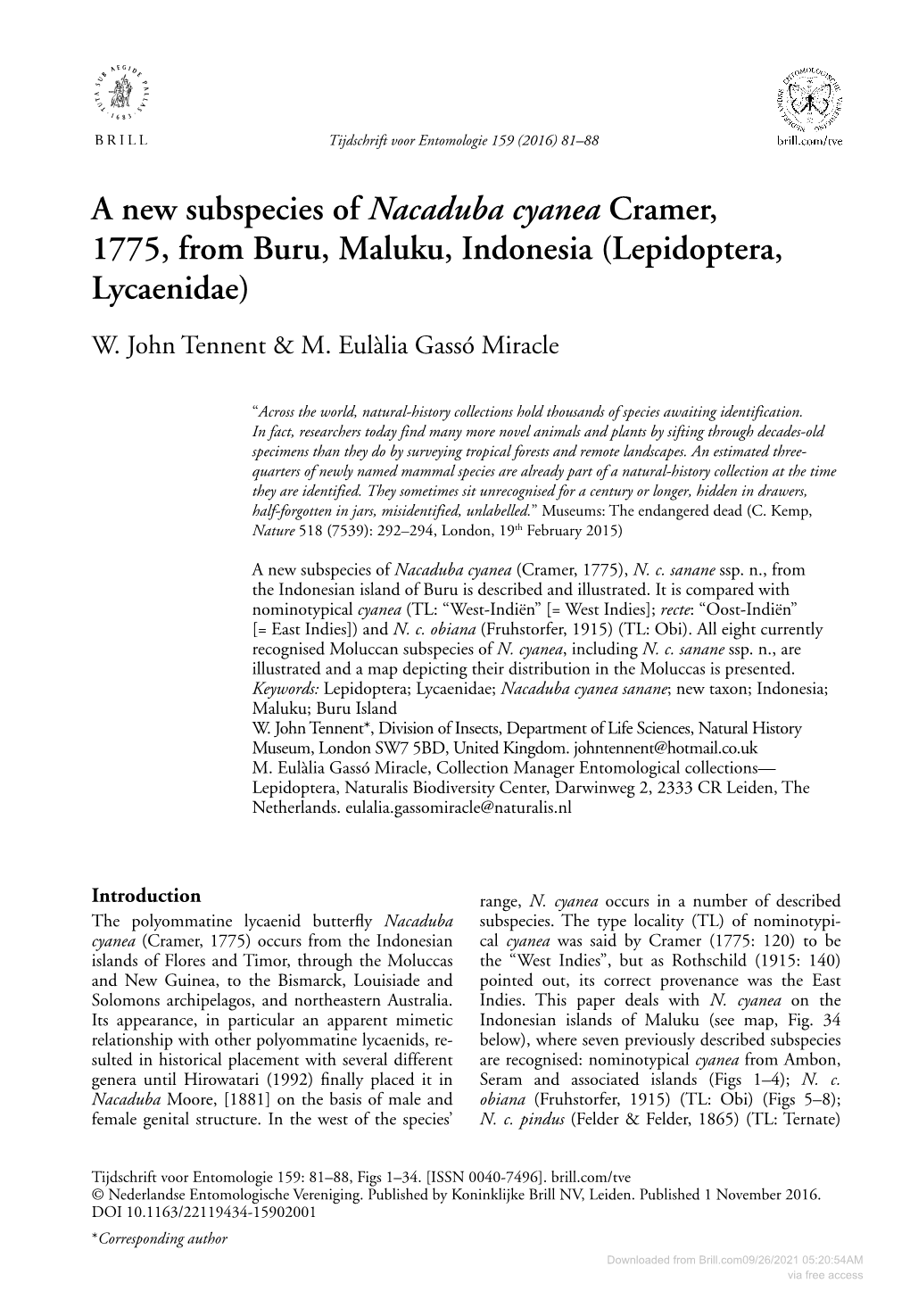 A New Subspecies of Nacaduba Cyanea Cramer, 1775, from Buru, Maluku, Indonesia (Lepidoptera, Lycaenidae) W