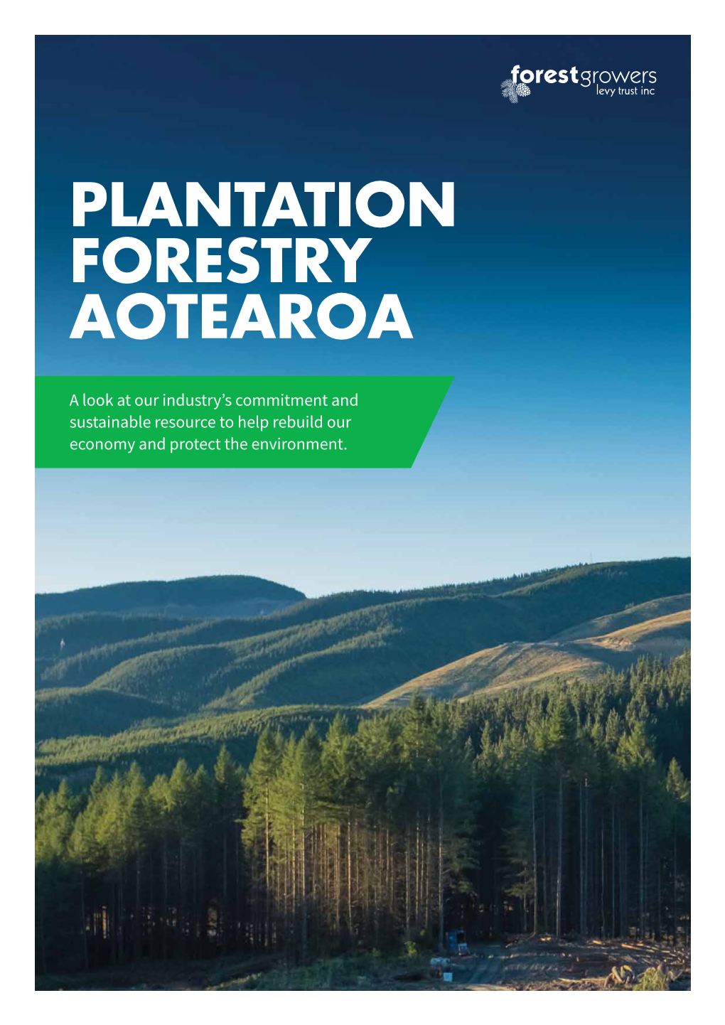 Plantation Forestry Aotearoa