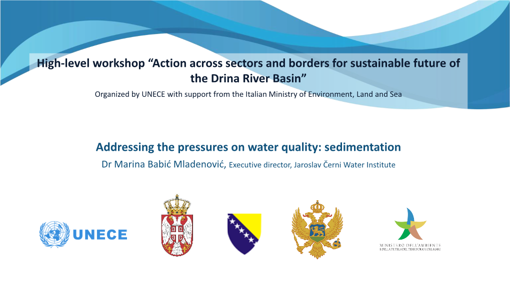 High-Level Workshop “Action Across Sectors and Borders for Sustainable Future of the Drina River Basin”