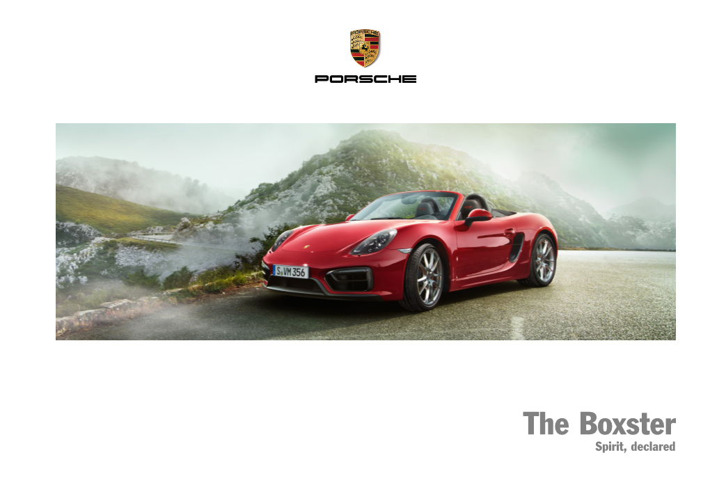 Porsche 981 Boxster