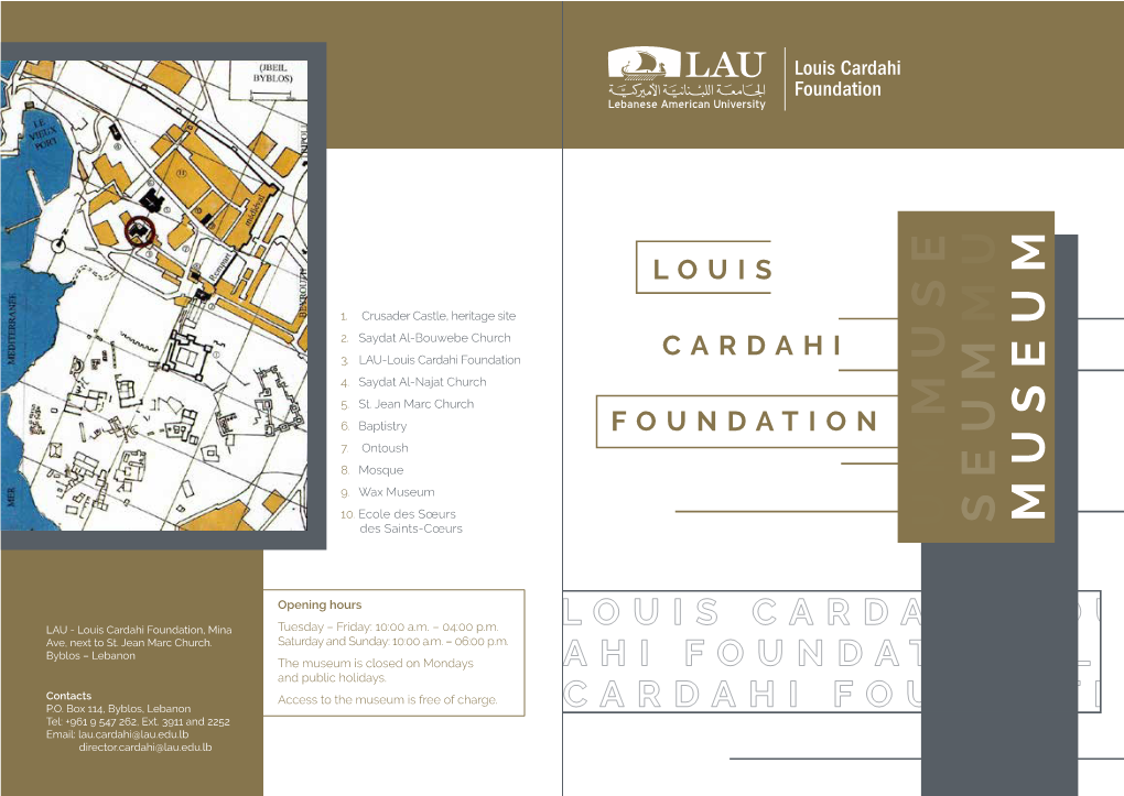 Louis Cardahi Foundation CARDAHI 4