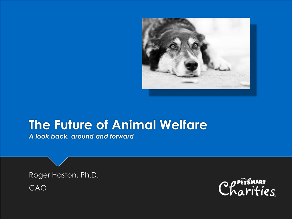 The Future of Animal Welfare a Look Back, Around and Forward