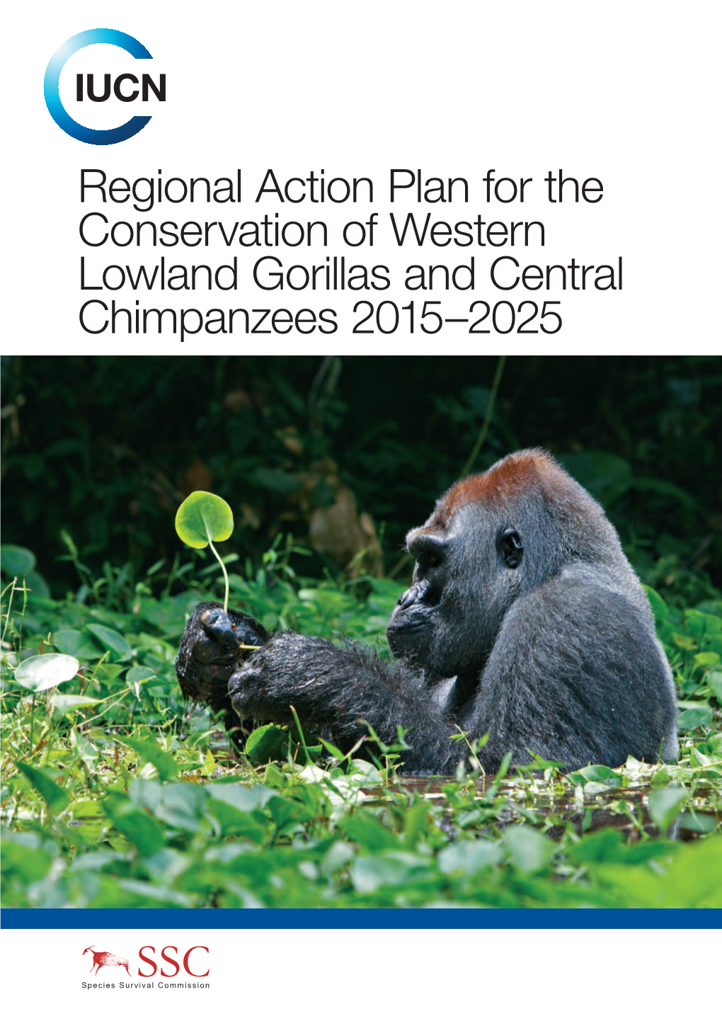 Action Plan for Great Apes in Western Equatorial Africa Corrected