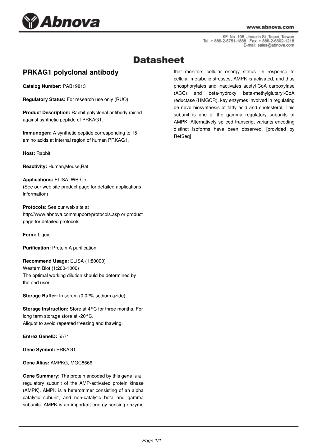 PRKAG1 Polyclonal Antibody That Monitors Cellular Energy Status