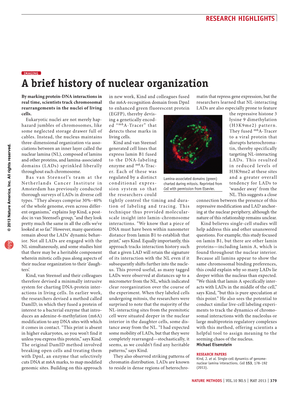 Imaging: a Brief History of Nuclear Organization