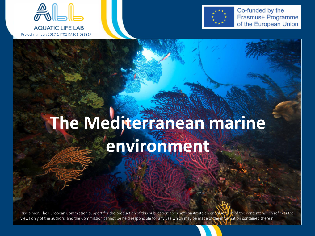 PRESENTATION / the Mediterranean Marine Environment
