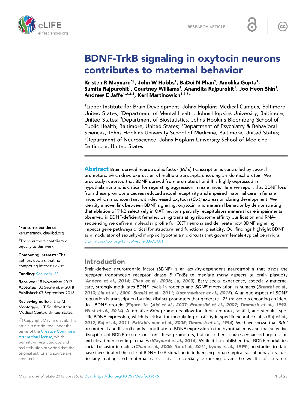 BDNF-Trkb Signaling in Oxytocin Neurons Contributes to Maternal